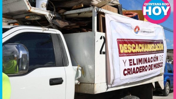 Descacharrización en Cancún recolecta más de 8 m³ durante mayo