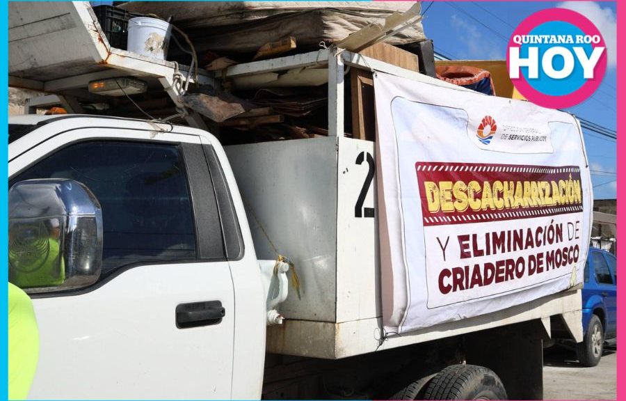 Descacharrización en Cancún recolecta más de 8 m³ durante mayo
