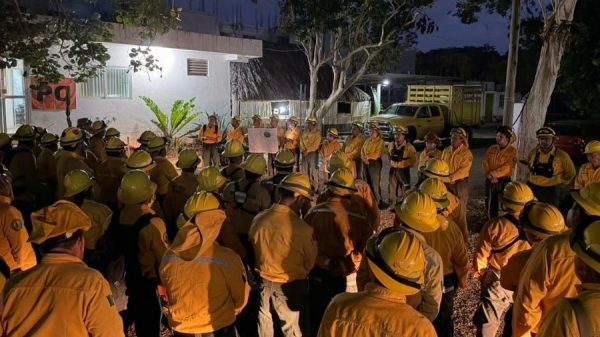 Avanza liquidación del incendio forestal “Jas” en Othón P. Blanco