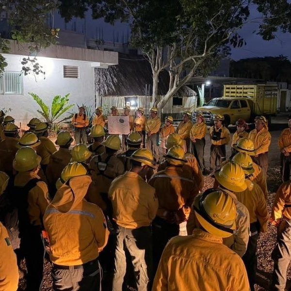Avanza liquidación del incendio forestal “Jas” en Othón P. Blanco