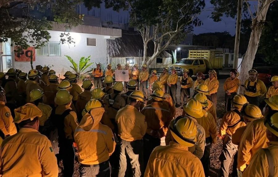 Avanza liquidación del incendio forestal “Jas” en Othón P. Blanco