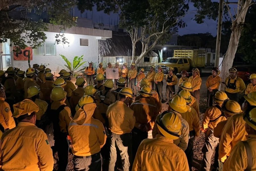 Avanza liquidación del incendio forestal “Jas” en Othón P. Blanco