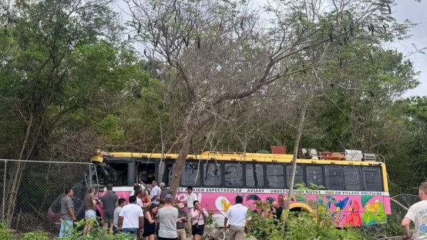 Autobús de Xcaret se sale de la carretera cerca de Xel-Há