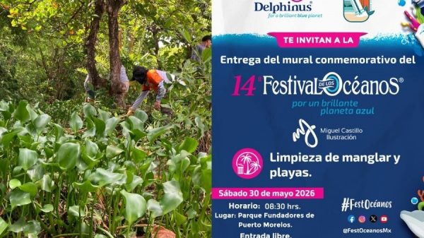Festival de los Océanos unirá arte y limpieza ambiental en Puerto Morelos