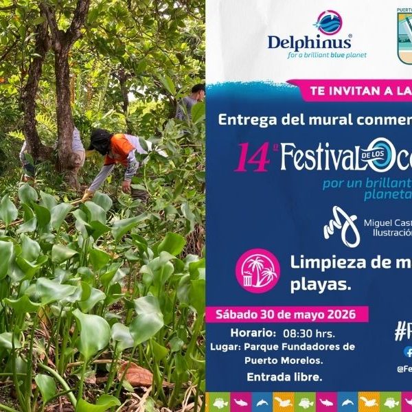 Festival de los Océanos unirá arte y limpieza ambiental en Puerto Morelos