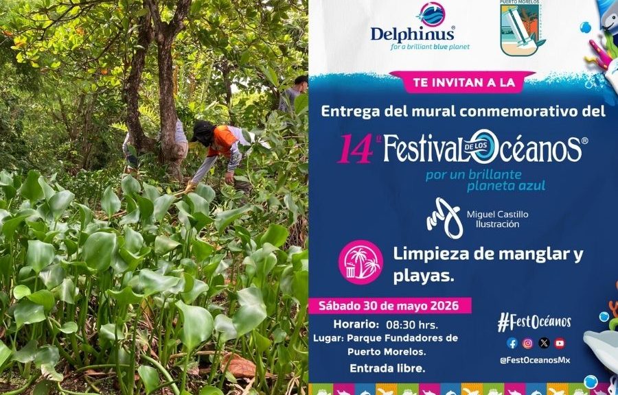 Festival de los Océanos unirá arte y limpieza ambiental en Puerto Morelos