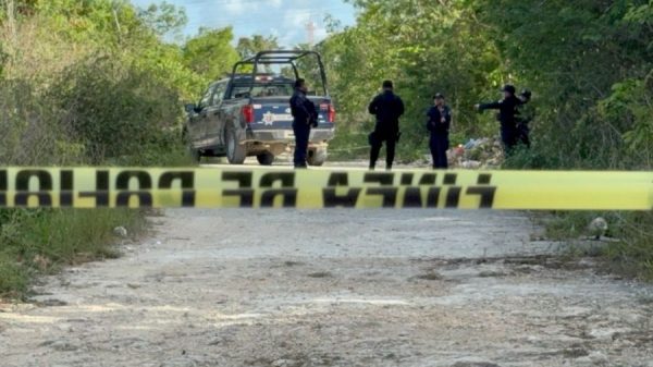 Hallan cuerpo sin vida en área verde de la Región 208 en Cancún