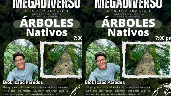 “Educar para transformar”: impulsan conciencia ambiental en Playa del Carmen