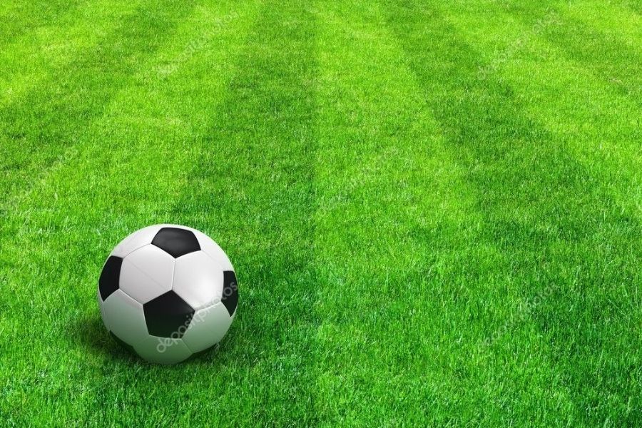 Mundial de Futbol 2026 no impulsará negocios de Cancún: Amexme