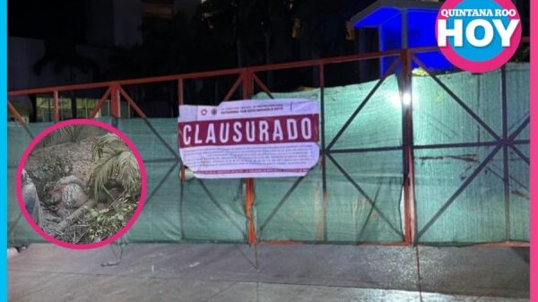 ¿Qué paso tras el derrumbe en el Hotel Riu Península?