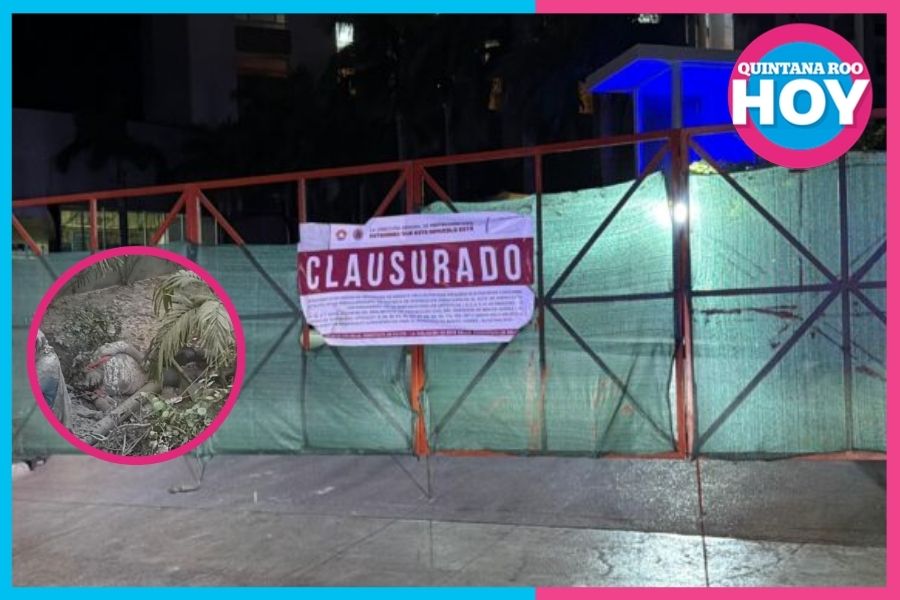 ¿Qué paso tras el derrumbe en el Hotel Riu Península?
