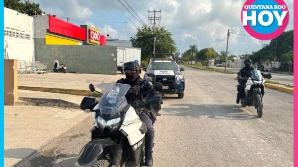 Hallan placas vehiculares abandonadas en Cielo Nuevo de Cancún