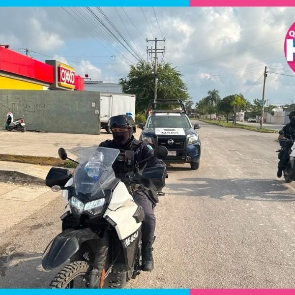 Hallan placas vehiculares abandonadas en Cielo Nuevo de Cancún