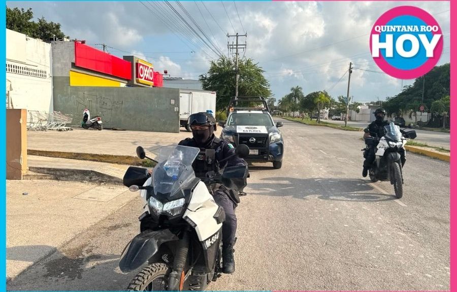 Hallan placas vehiculares abandonadas en Cielo Nuevo de Cancún
