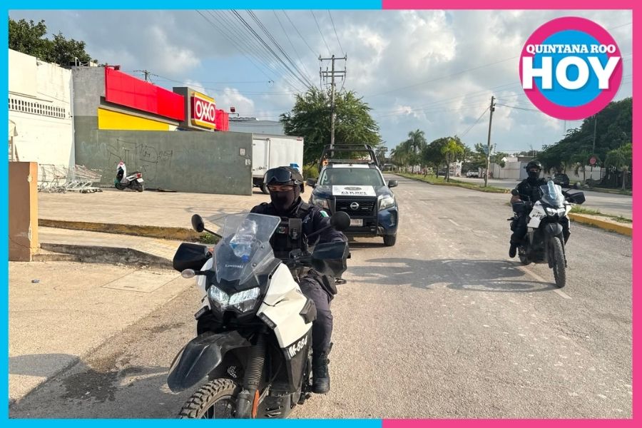 Hallan placas vehiculares abandonadas en Cielo Nuevo de Cancún