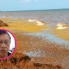 Cambio climático en Quintana Roo ya altera lluvias, calor y sargazo
