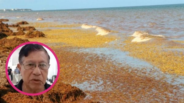 Cambio climático en Quintana Roo ya altera lluvias, calor y sargazo