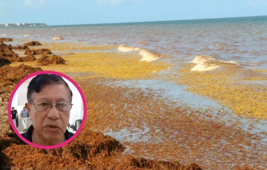 Cambio climático en Quintana Roo ya altera lluvias, calor y sargazo