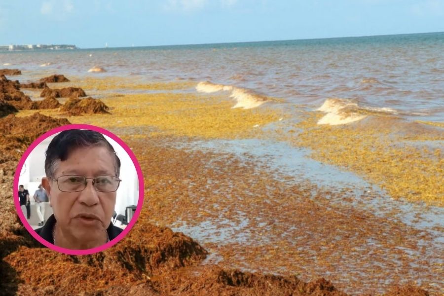 Cambio climático en Quintana Roo ya altera lluvias, calor y sargazo