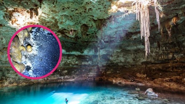contaminación en cenotes de Playa del Carmen