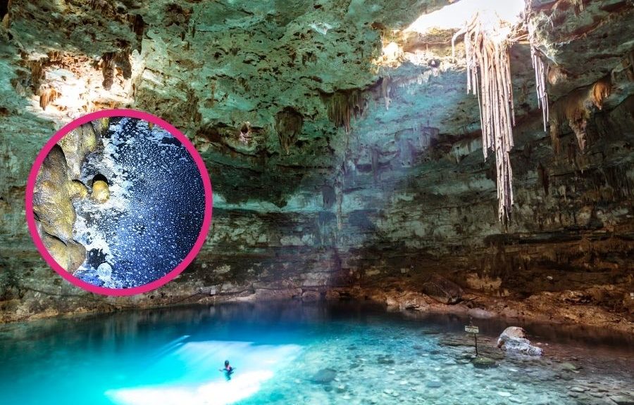 contaminación en cenotes de Playa del Carmen