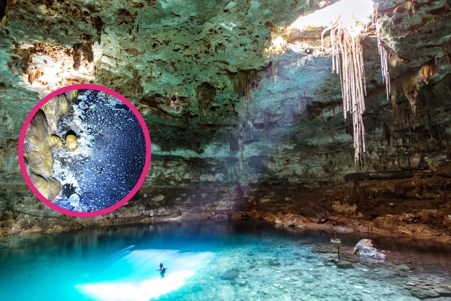 contaminación en cenotes de Playa del Carmen