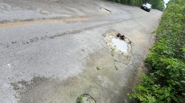Piden limpieza y bacheo en carretera hacia Tres Reyes
