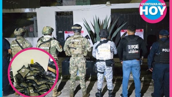 Aseguran cargamento de 166 kilos de marihuana durante cateo