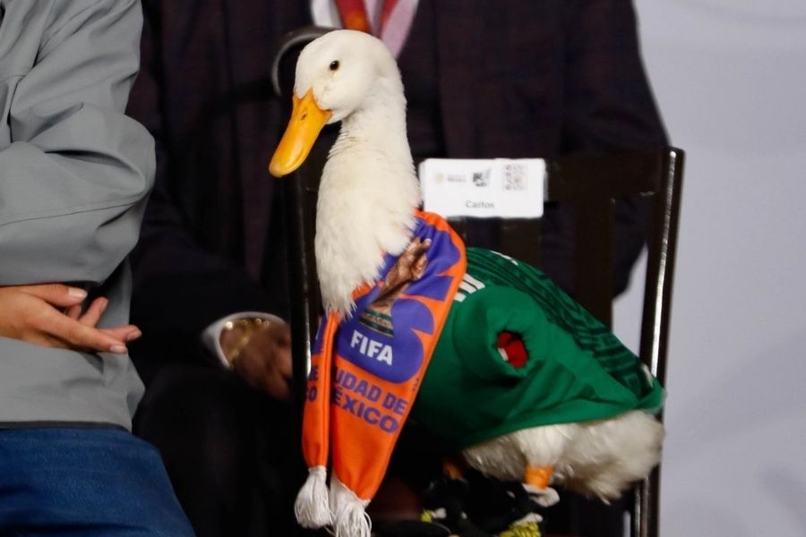 IMPI reconoce a Karla Gómez como propietaria de la marca del Pato Merlín