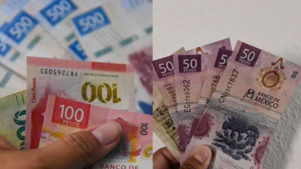 ¿No recibiste el pago de utilidades? Investigan a empresas