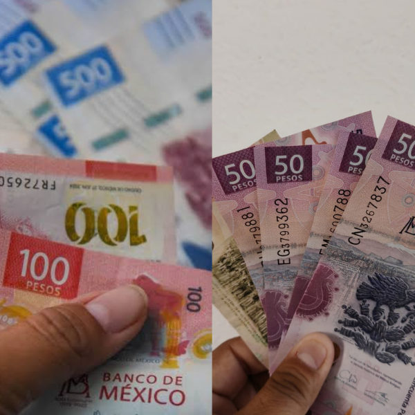 ¿No recibiste el pago de utilidades? Investigan a empresas