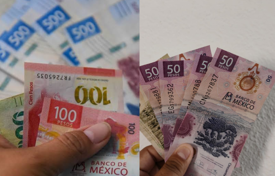 ¿No recibiste el pago de utilidades? Investigan a empresas