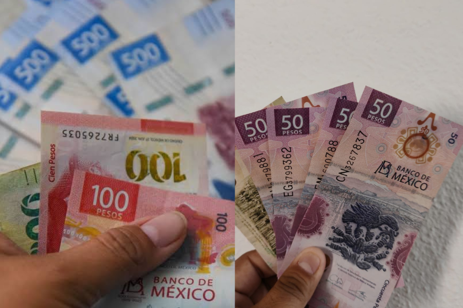 ¿No recibiste el pago de utilidades? Investigan a empresas