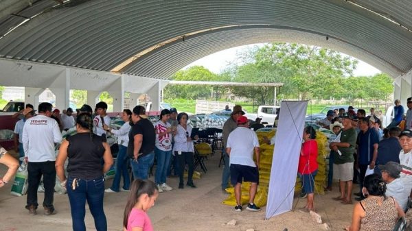 Política de Lázaro Cárdenas se mueve rumbo a elecciones de 2027
