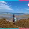 Sargazo pone a prueba el turismo en Akumal