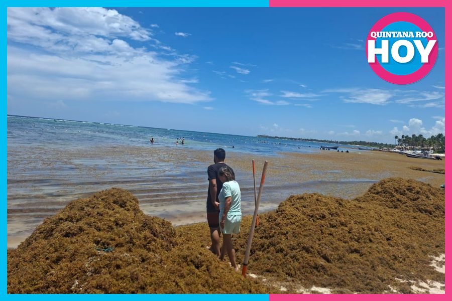 Sargazo pone a prueba el turismo en Akumal