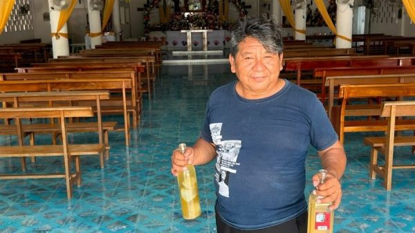 Balché, la bebida sagrada que preserva la tradición del pueblo maya