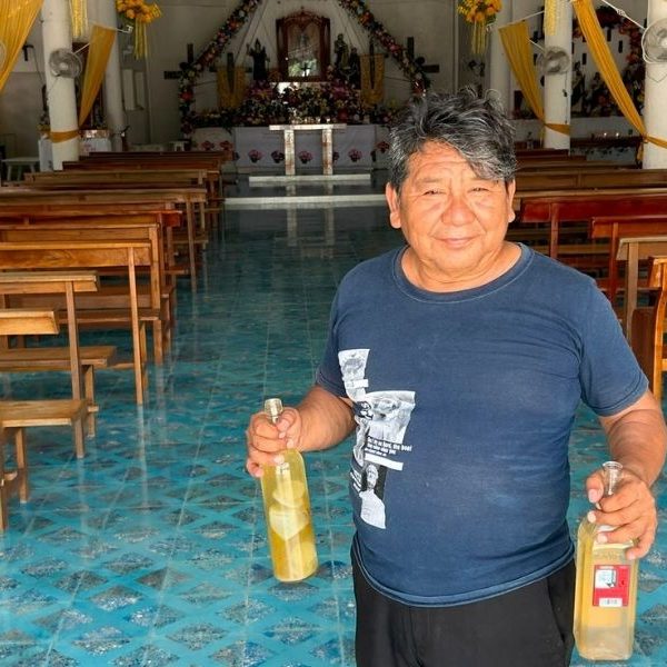 Balché, la bebida sagrada que preserva la tradición del pueblo maya