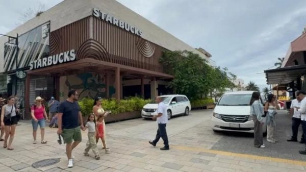 Desarrollos inmobiliarios generan debate ambiental en Playa del Carmen