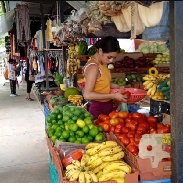 Retiran a 100 comerciantes de parque en Villas del Sol
