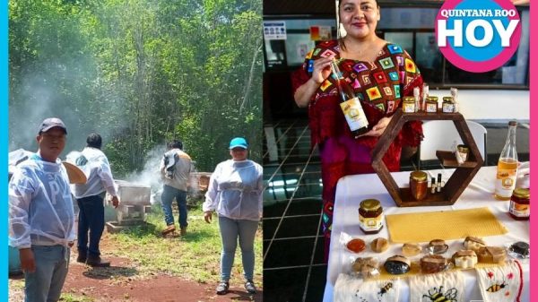 Apicultora de Quintana Roo busca llevar su miel a todo México