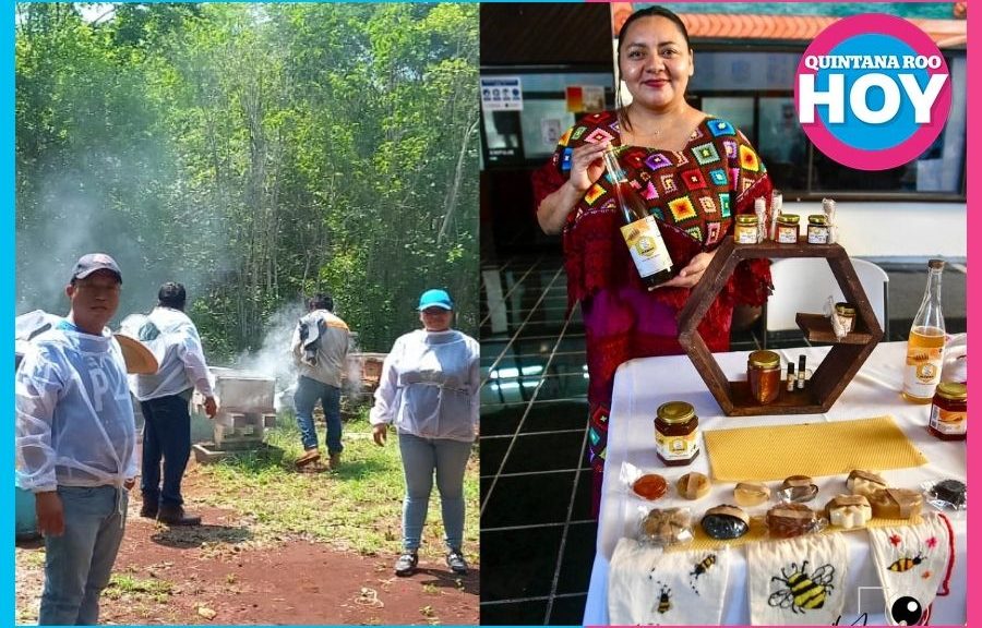 Apicultora de Quintana Roo busca llevar su miel a todo México