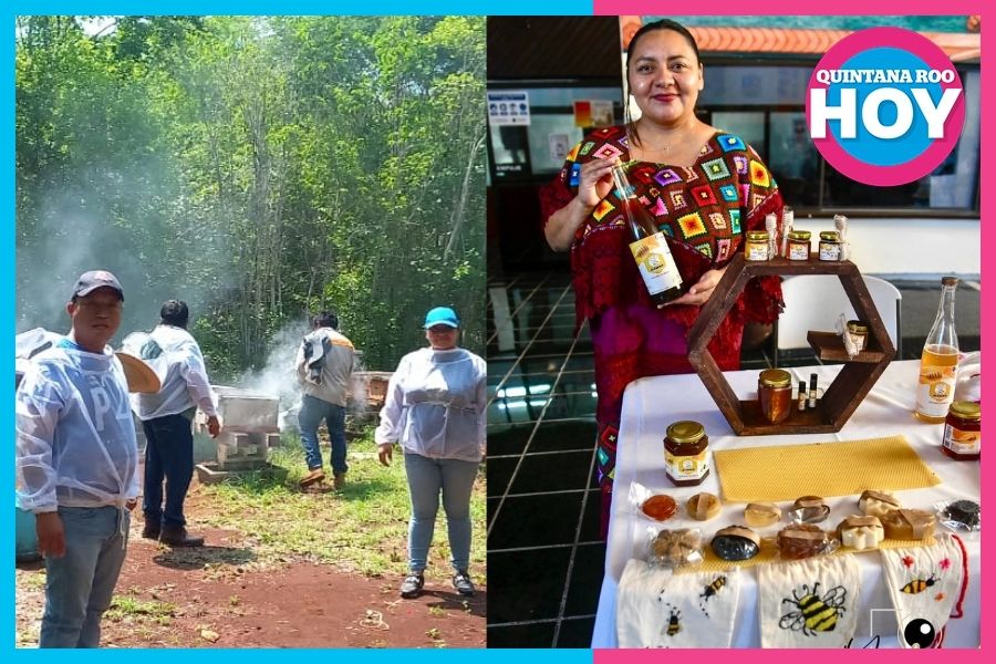 Apicultora de Quintana Roo busca llevar su miel a todo México