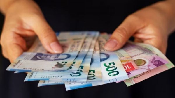 Ofrecen créditos a tasa cero para impulsar Pymes del sur de Quintana Roo