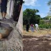 Exhuman a perro en Felipe Carrillo Puerto para investigar causa de muerte