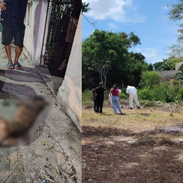 Exhuman a perro en Felipe Carrillo Puerto para investigar causa de muerte