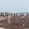 Marina retira 140 toneladas de sargazo en Tulum