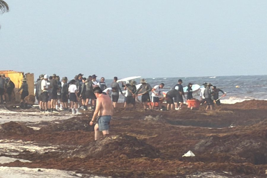 Marina retira 140 toneladas de sargazo en Tulum