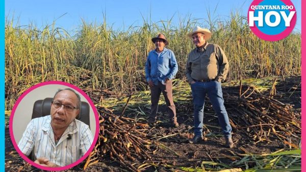 Jóvenes abandonan el campo por falta de oportunidades económicas