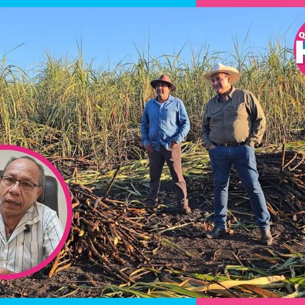 Jóvenes abandonan el campo por falta de oportunidades económicas